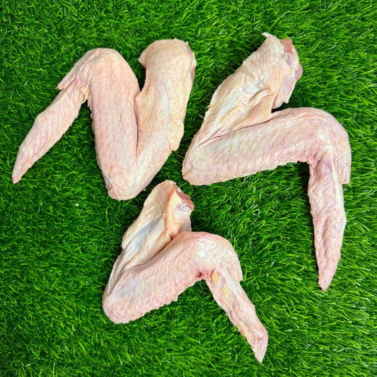 Raw Duck Wings